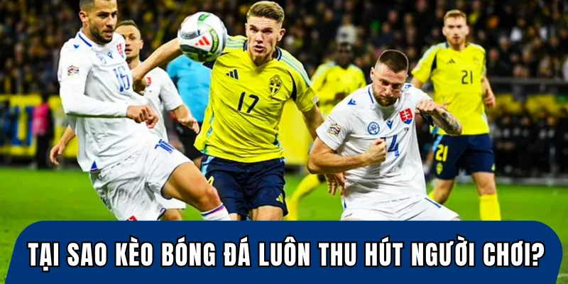 Tại sao kèo bóng đá luôn thu hút người chơi?