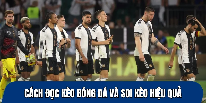 Cách đọc kèo bóng đá và soi kèo hiệu quả