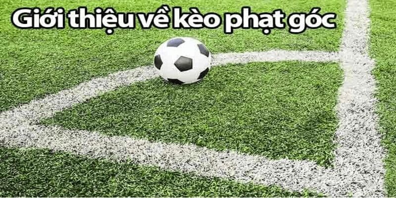 Kèo phạt góc là gì Kèo phạt góc là gì