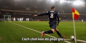 bắt kèo tài xỉu hiệu quả